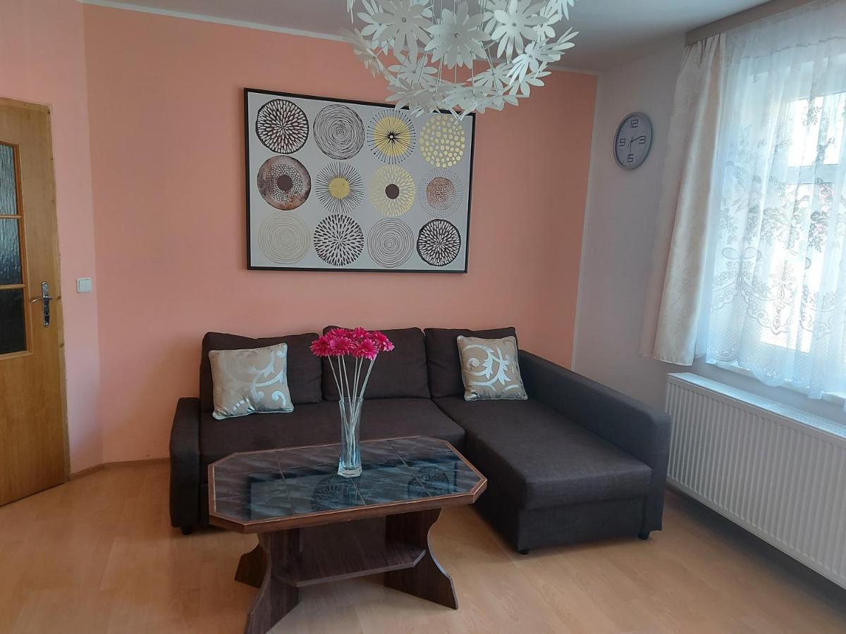 Apartman Jachymov Krusne Hory 외부 사진