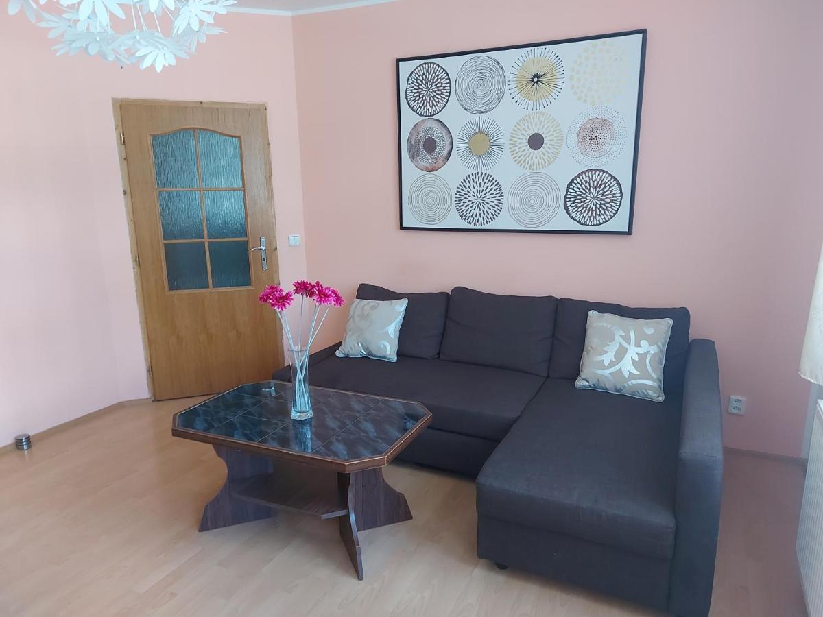 Apartman Jachymov Krusne Hory 외부 사진